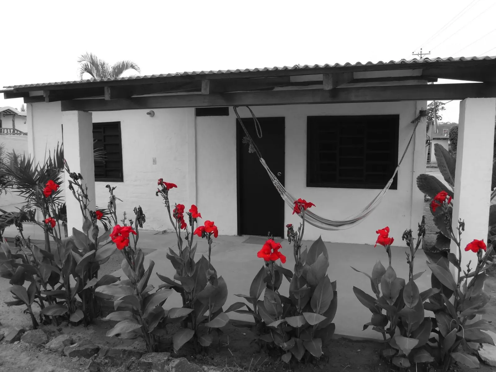 White cabin with a hammock and red flowers in the hotel garden