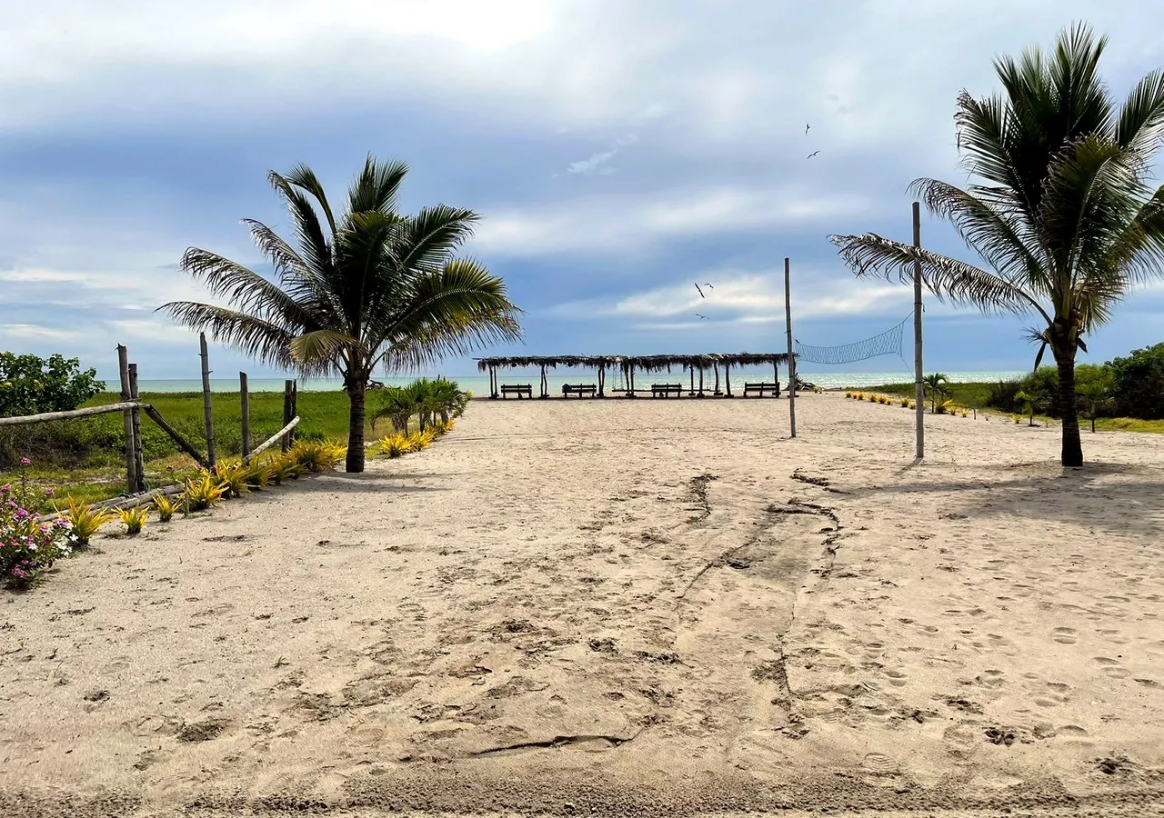 Beach volleyball court among palm trees facing the ocean in Canoa
