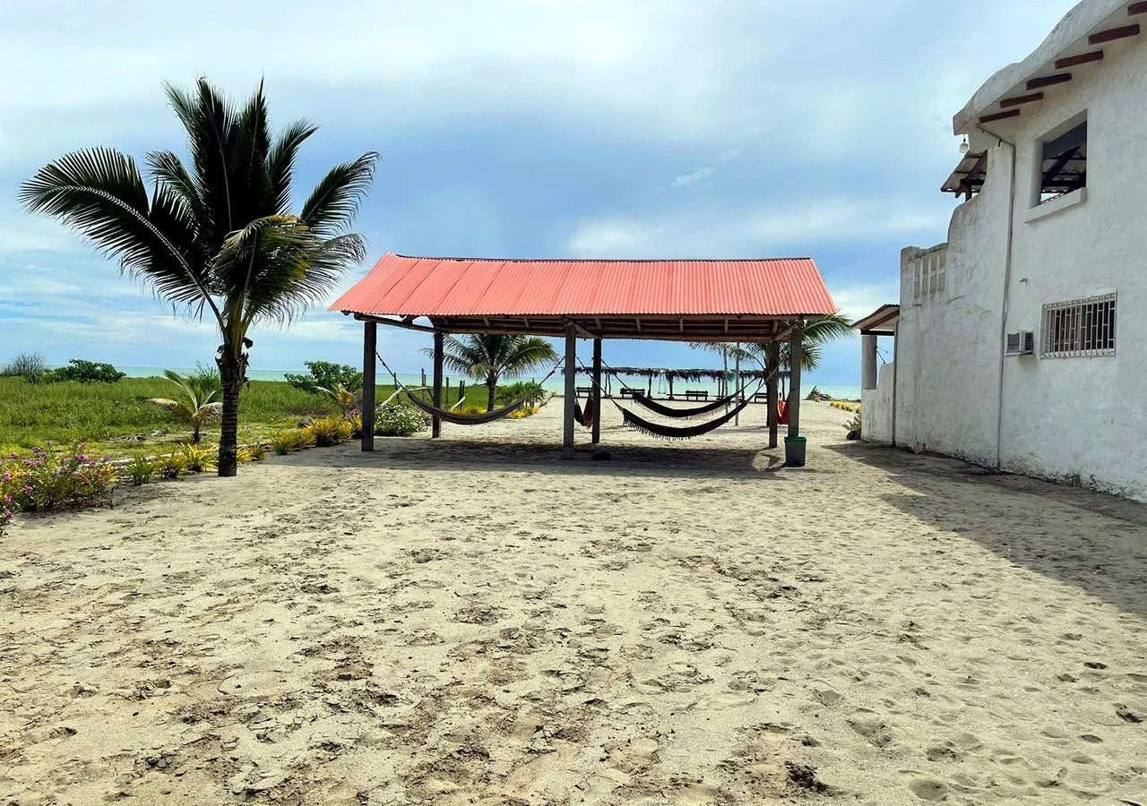 Hammocks hanging under a red-roofed palapa beside the beach